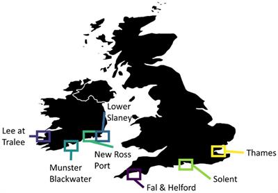 Assessing the coherence in biological and environmental drivers of young sea bass abundance across important estuarine nursery areas of the northern European sea bass stock